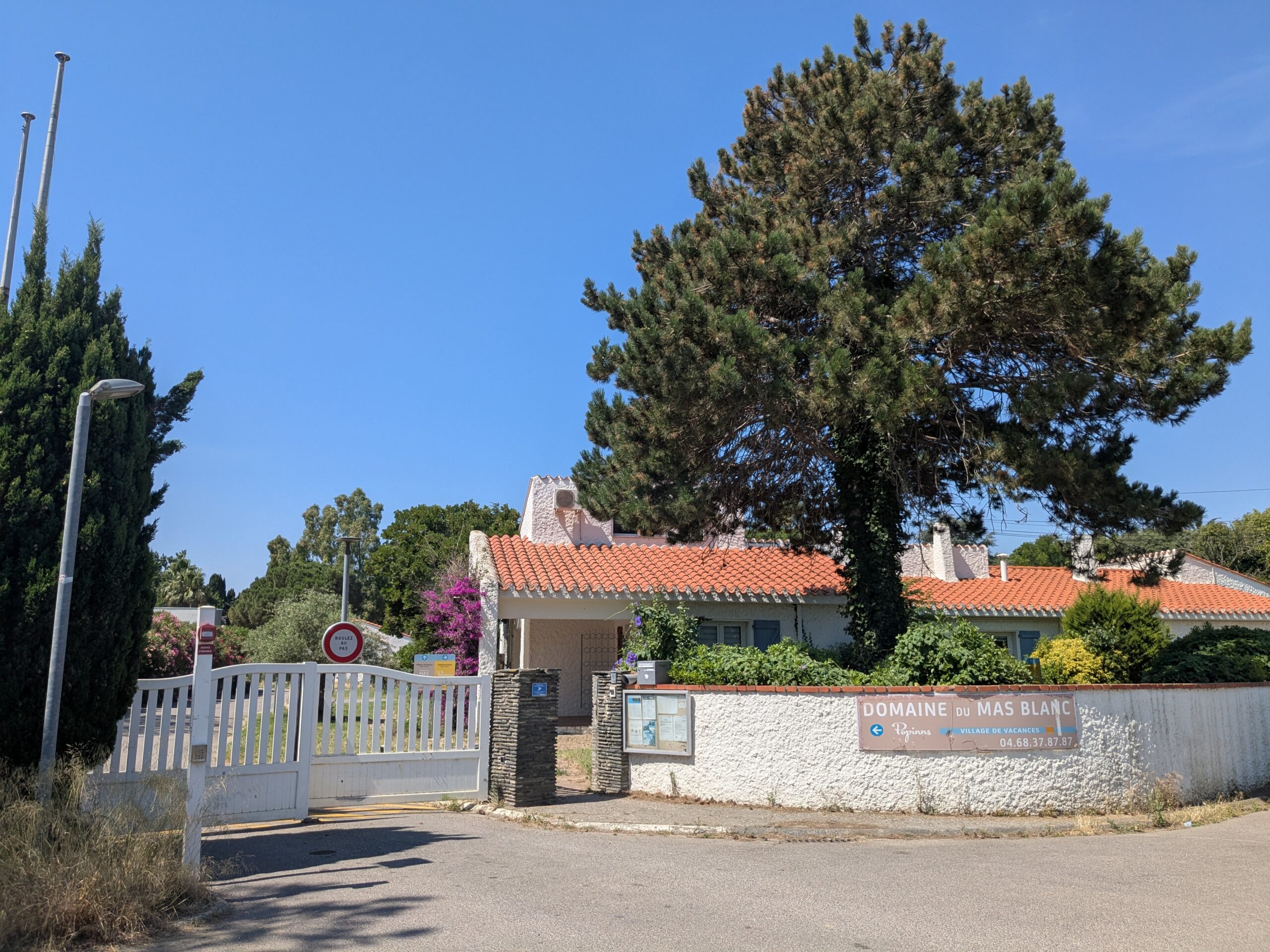 PXL_20250620_093635688